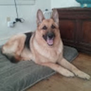 Meet your Posher, Margaret